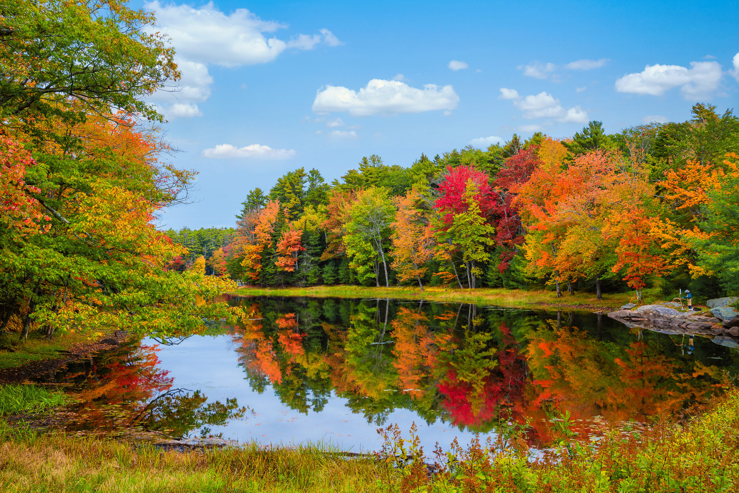 therapeutic scene nature