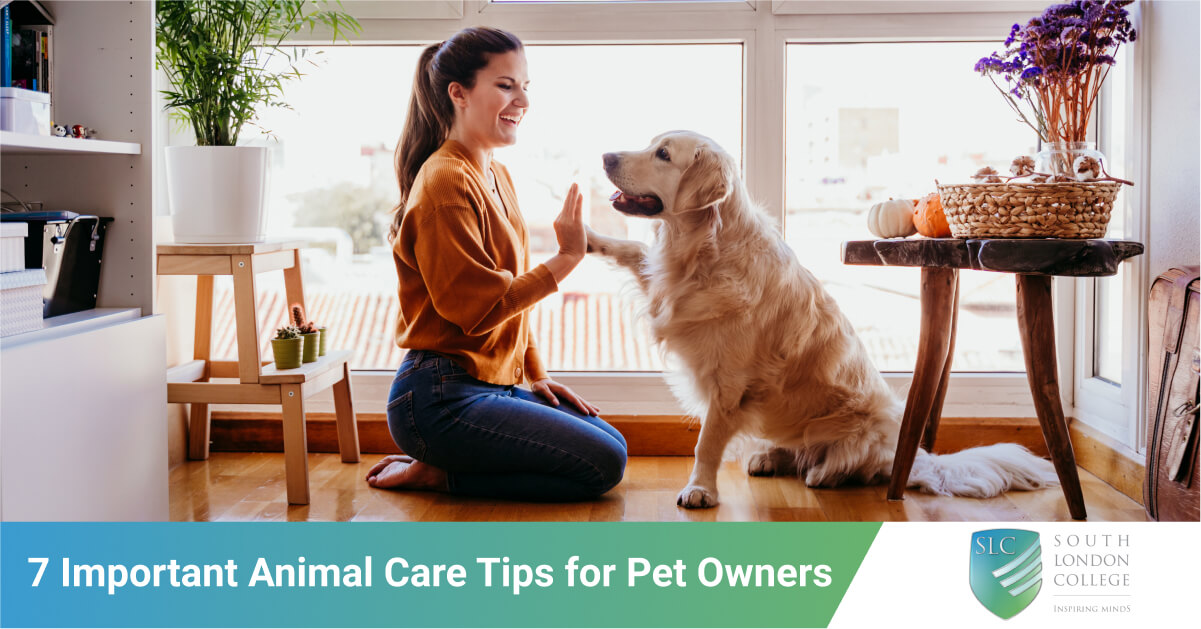 young athlete animal care