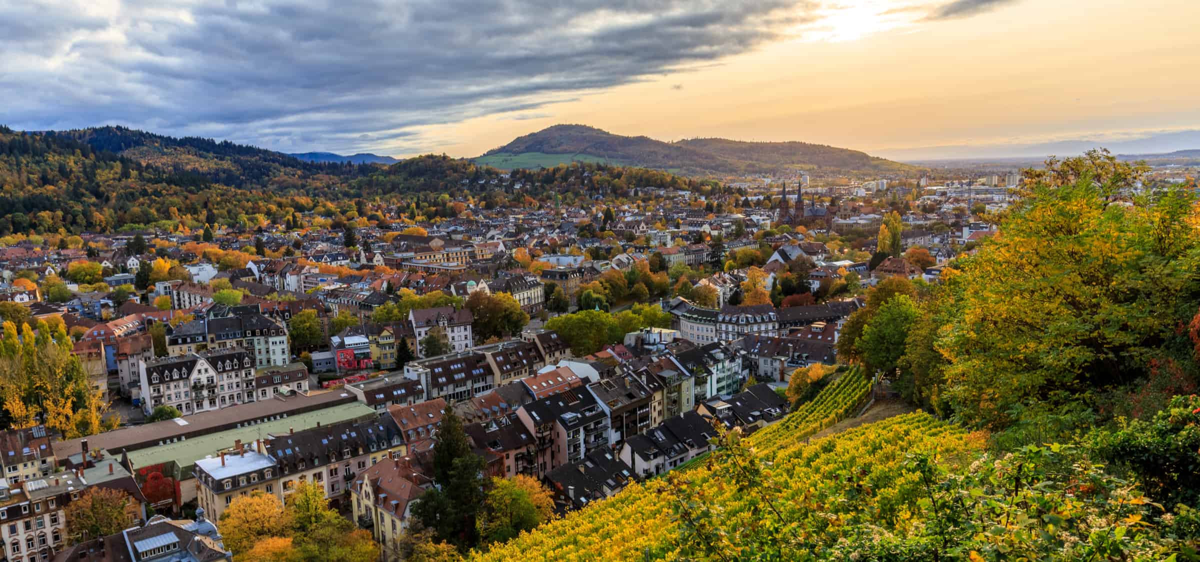 sustainable ecommerce freiburg