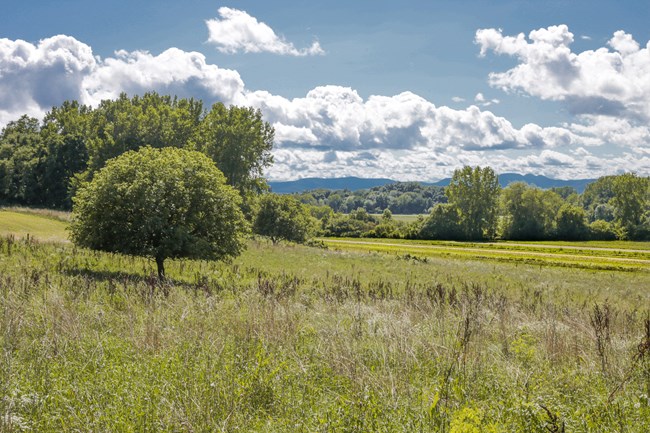 mountainous landscape with farmland and open fields