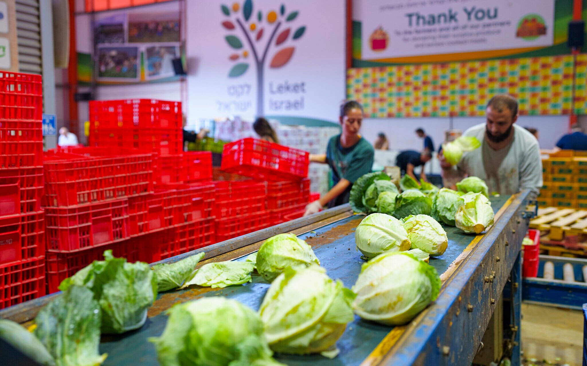 agricultural produce market logistics center