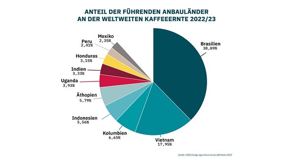 Kaffeeplantage unter Klimabedingungen