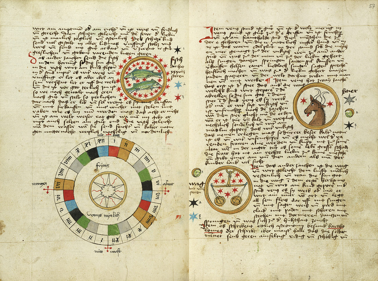 astrological charts and ancient manuscripts
