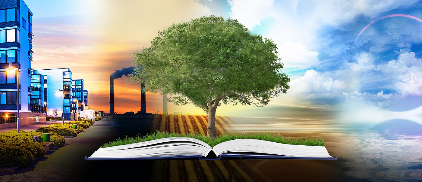 nature landscape with books and writing tools