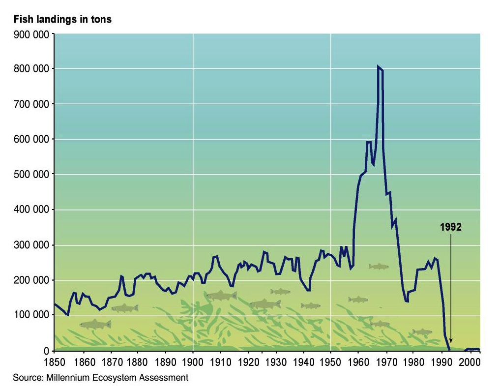 fish stock assessment chart