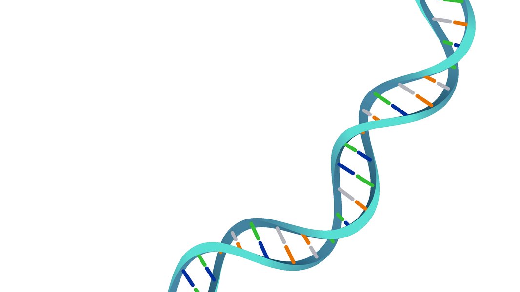 learn-about-dna-tbtzs1wp