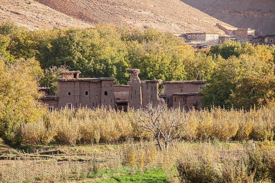 learn-speak-tachelhit-berber-vlokltds