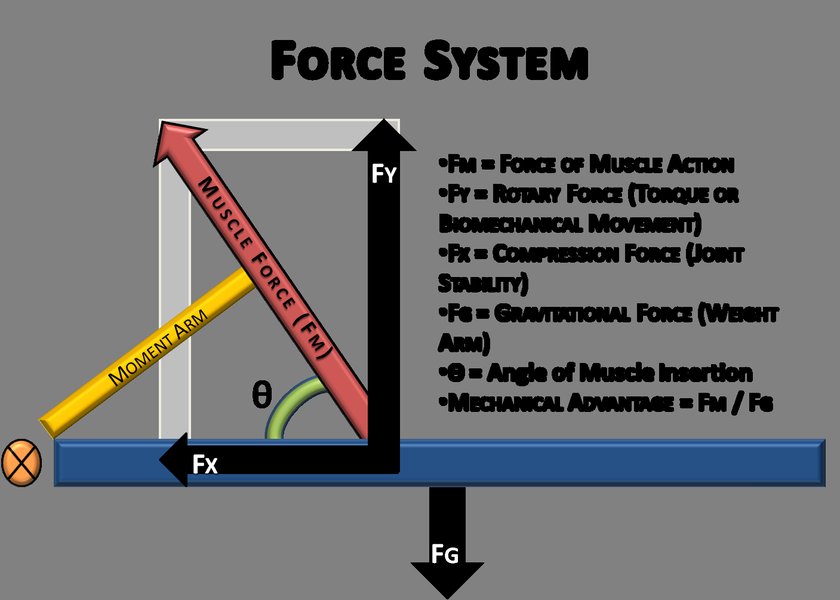 lever-force-distance-change-j2rr3h11
