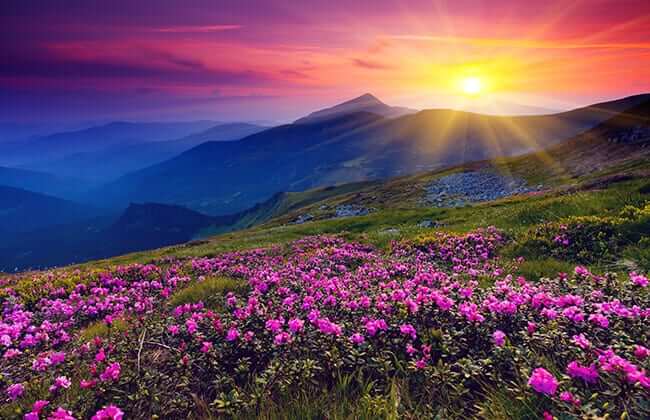 scenic landscape photograph