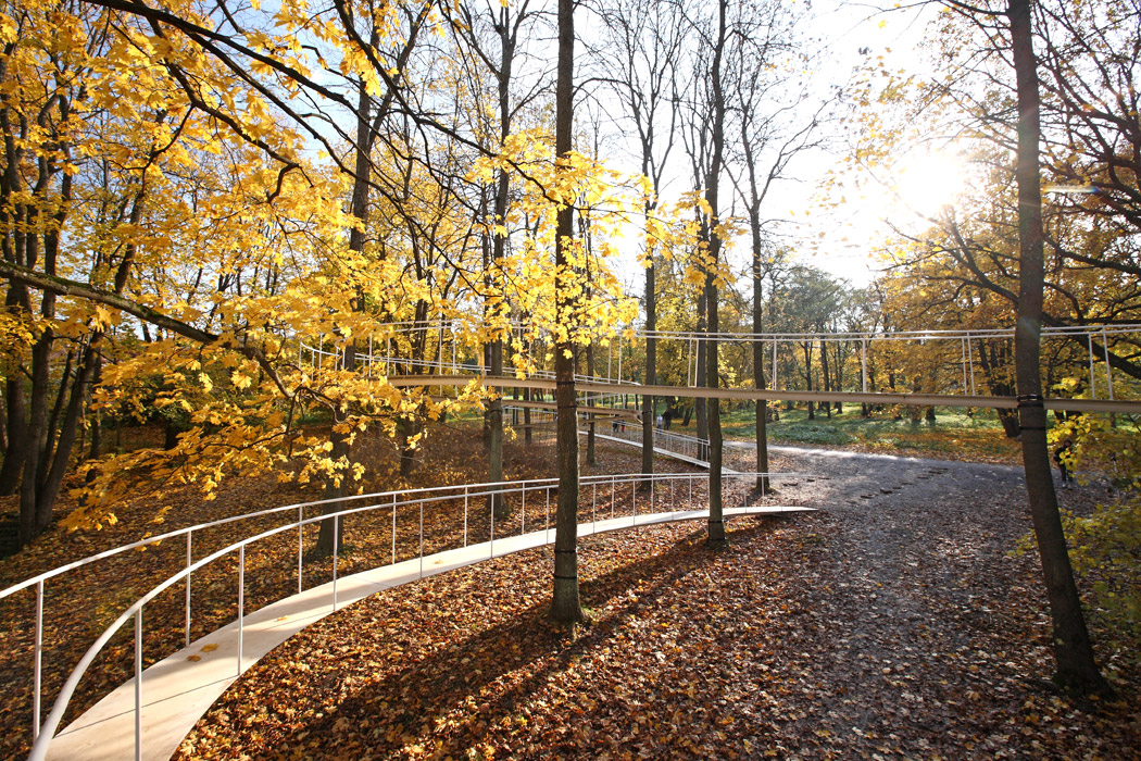 landscape path through forest