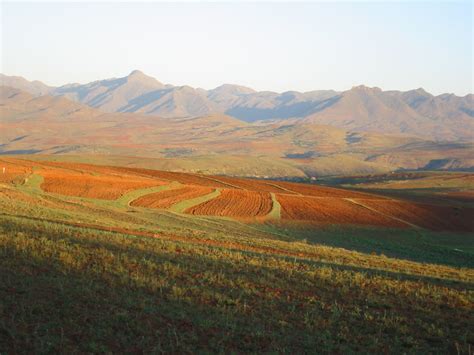 diverse regions landscape