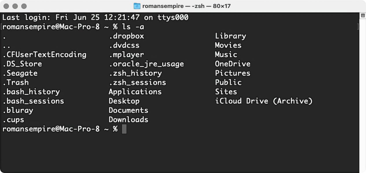 linux-opt-manus-directory-access-9e6mx3rw