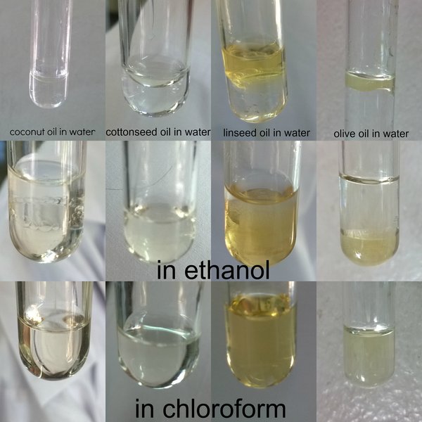 lipid-properties-extraction-sunflower-gsywjbie