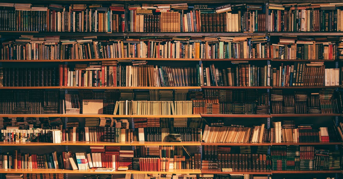 A well-stocked bookshelf representing the wealth of knowledge in literature