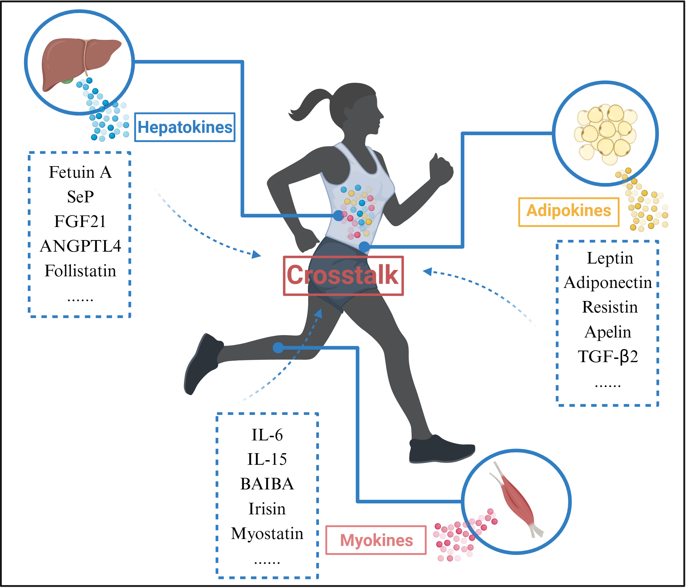 healthy liver food exercise scenery