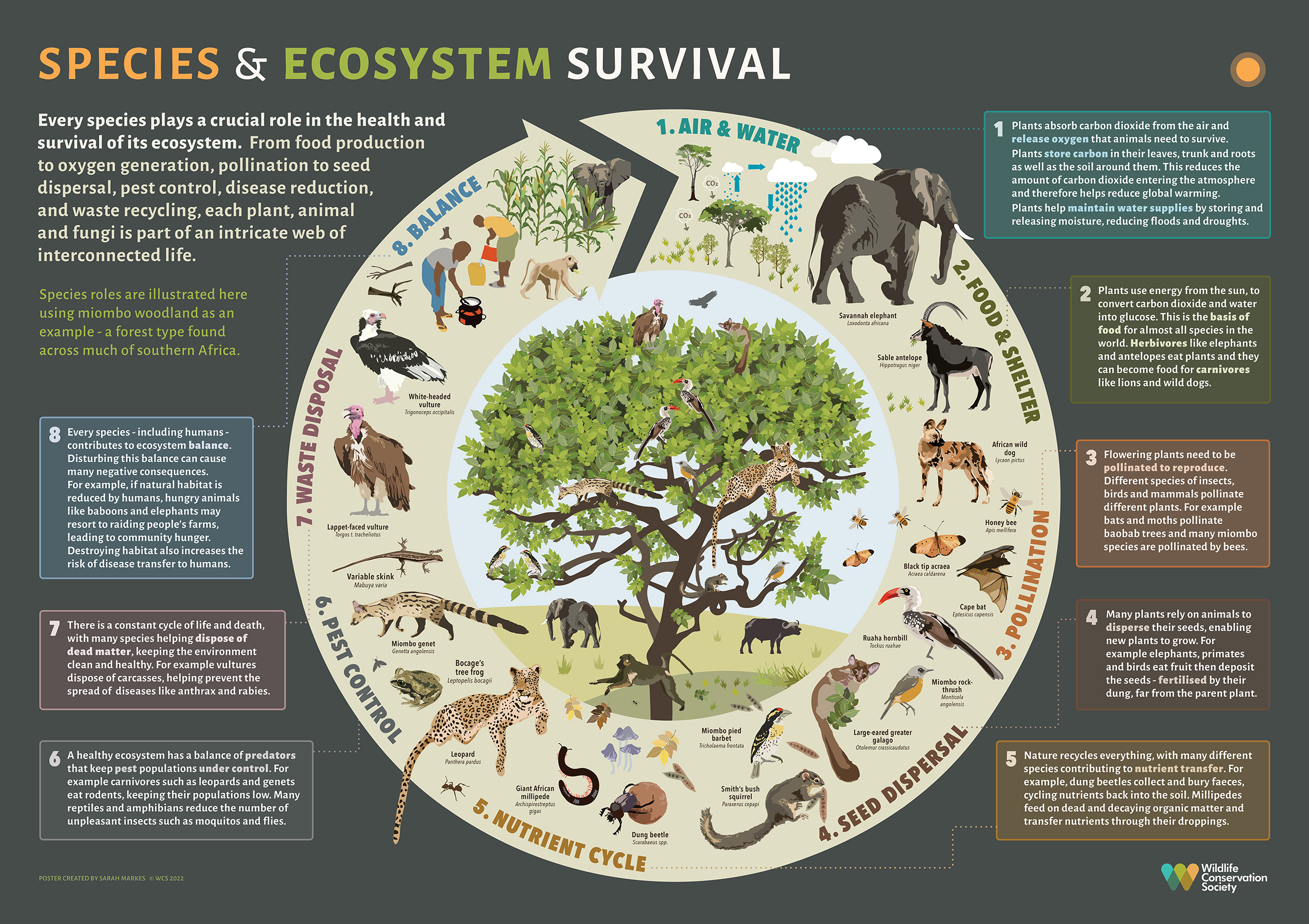 diverse local wildlife species in habitat