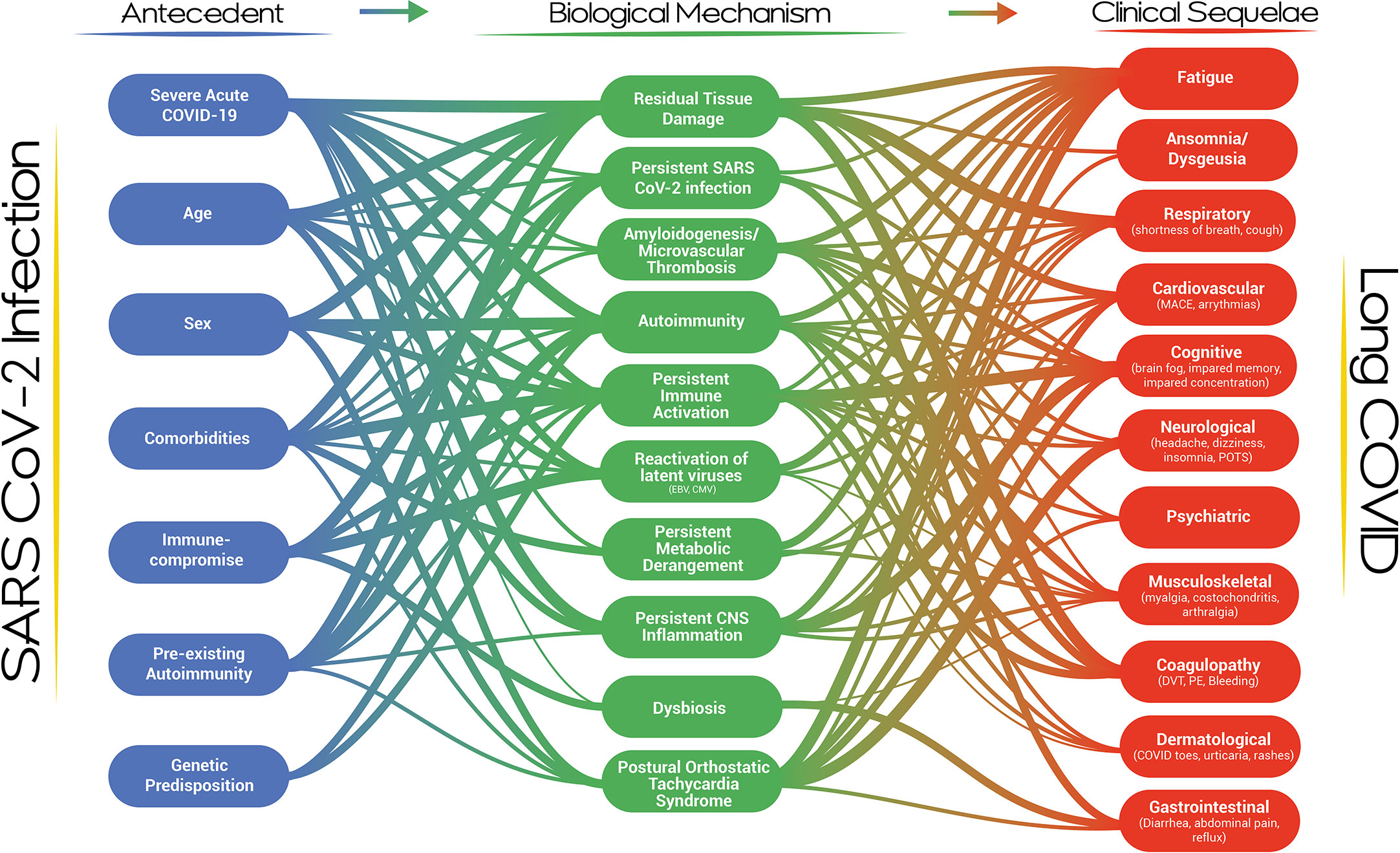 physical scenery long covid research laboratories and clinical trial settings