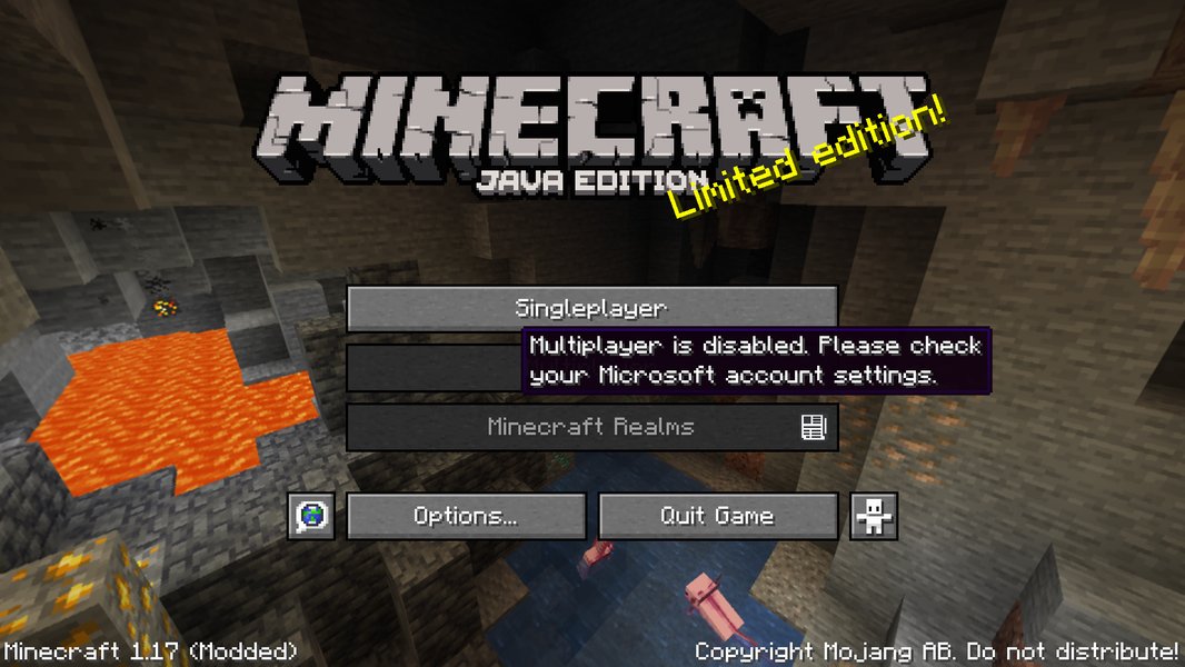 Fehlermeldung im Minecraft Forum bezüglich Multiplayer nach Migration