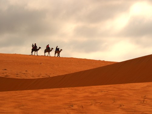 saharan landscape senegal
