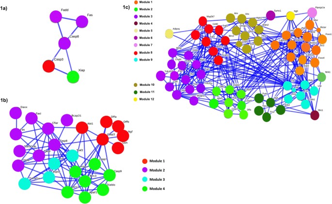 cell interaction network visualization