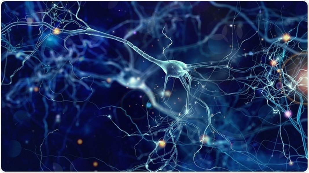 ltp-learning-memory-model-unns1ouz