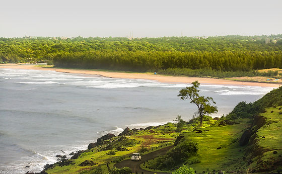 coastal landscape devgad maharashtra