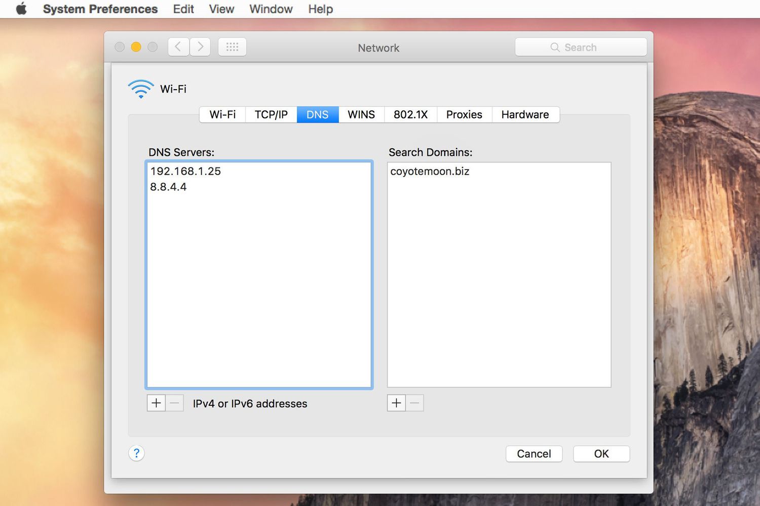 macbook pro dns monitoring