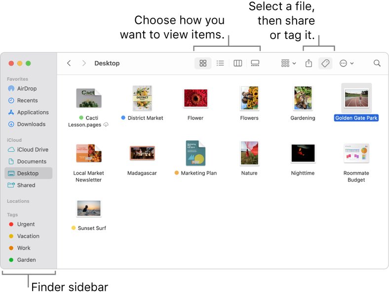 macbook-finder-slow-macos-sequoia-fqego2j7