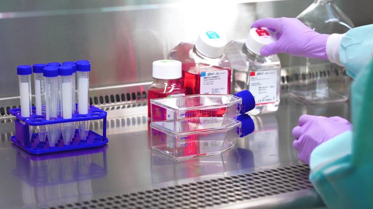 cell culture lab