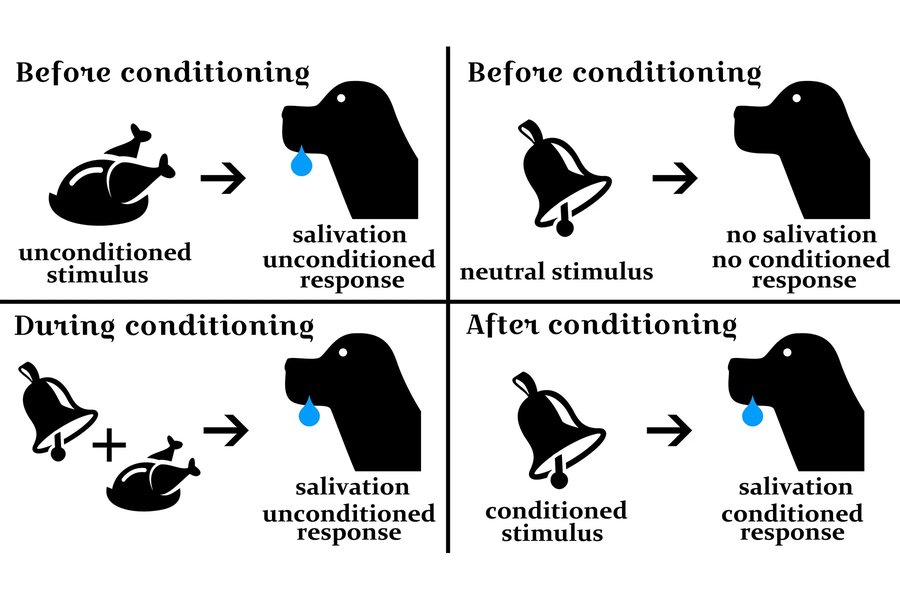 machine-learning-conditioning-responses-t5kdzcj3