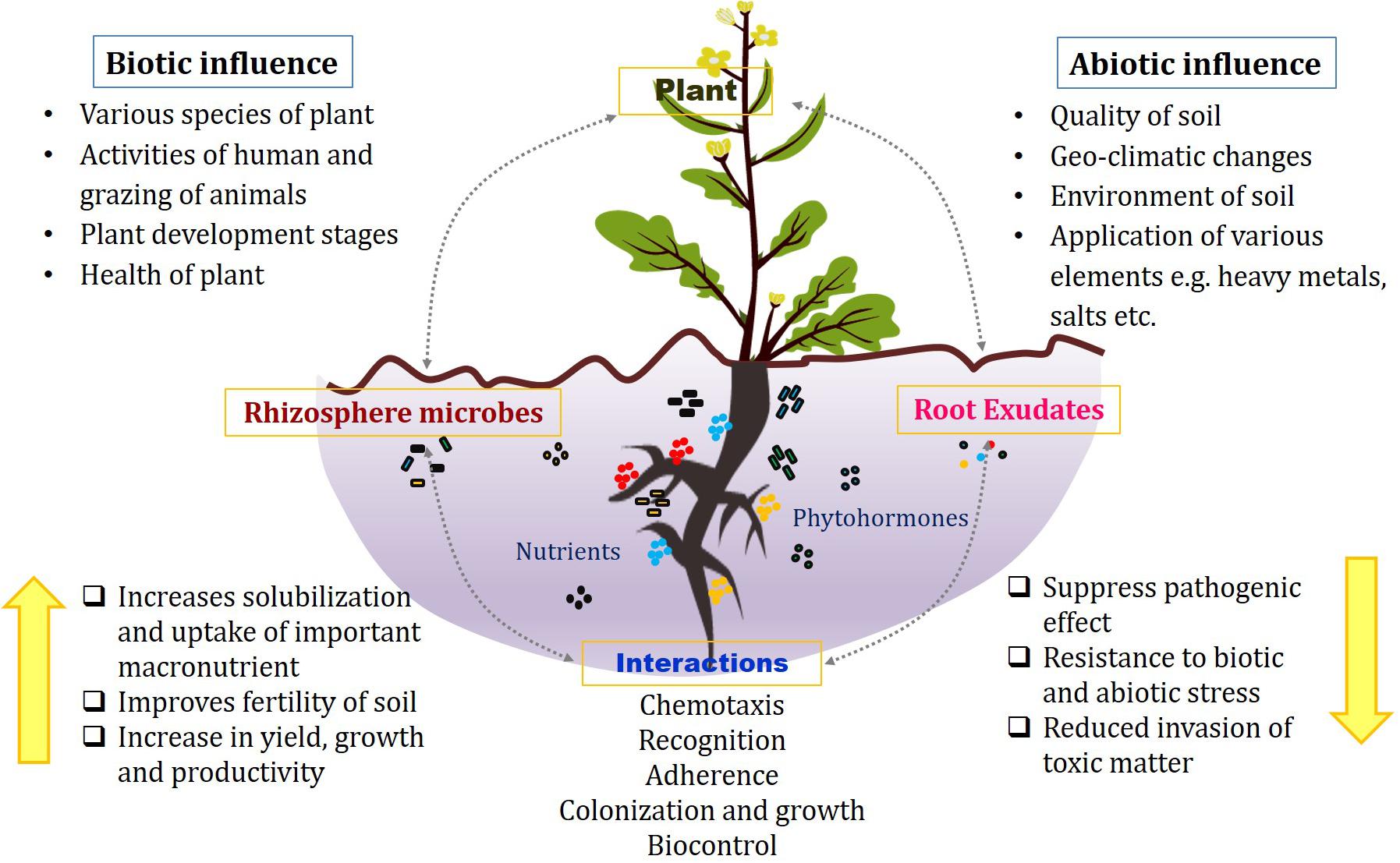 plant pathogen interaction biological scene