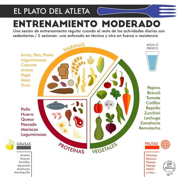 macros-recomposicion-corporal-endomorfo-fazdayqr