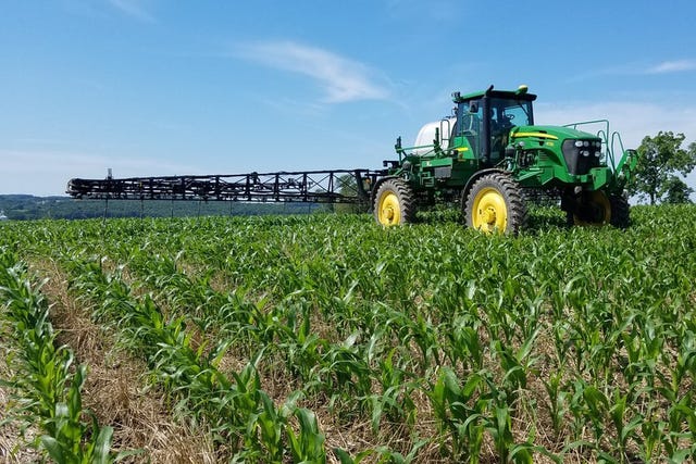 maize field view with organic fertilizers