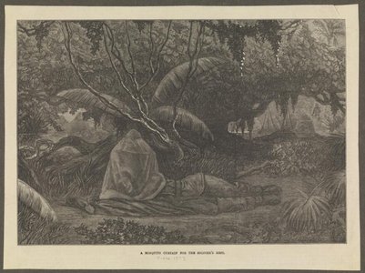 tropical mosquito net landscape