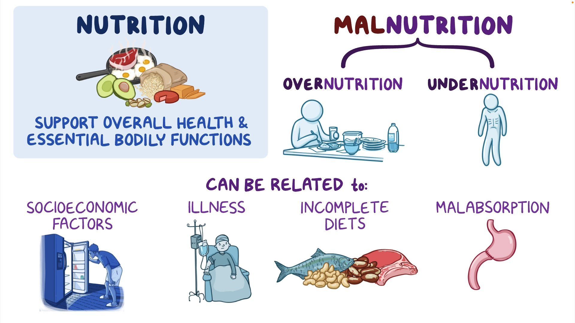 malnutrition food and nutrition