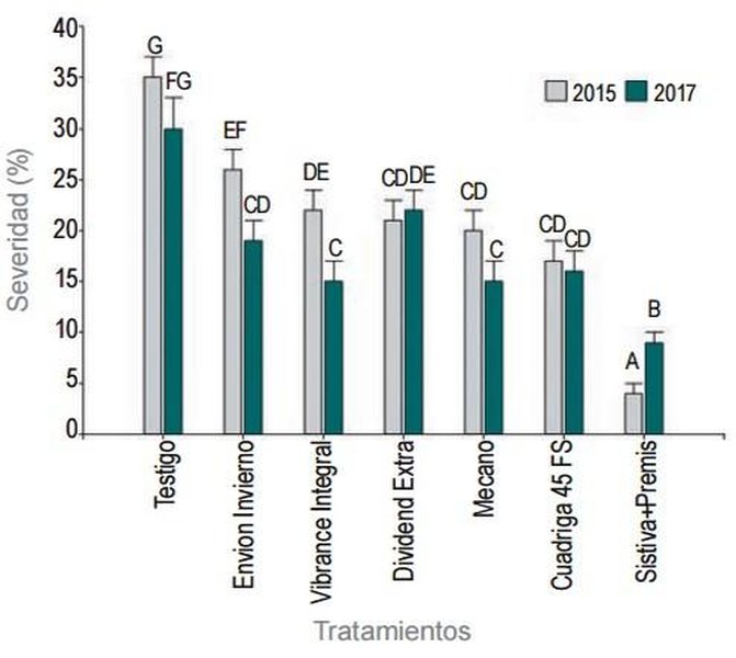 Semillas saludables como base del MIPE