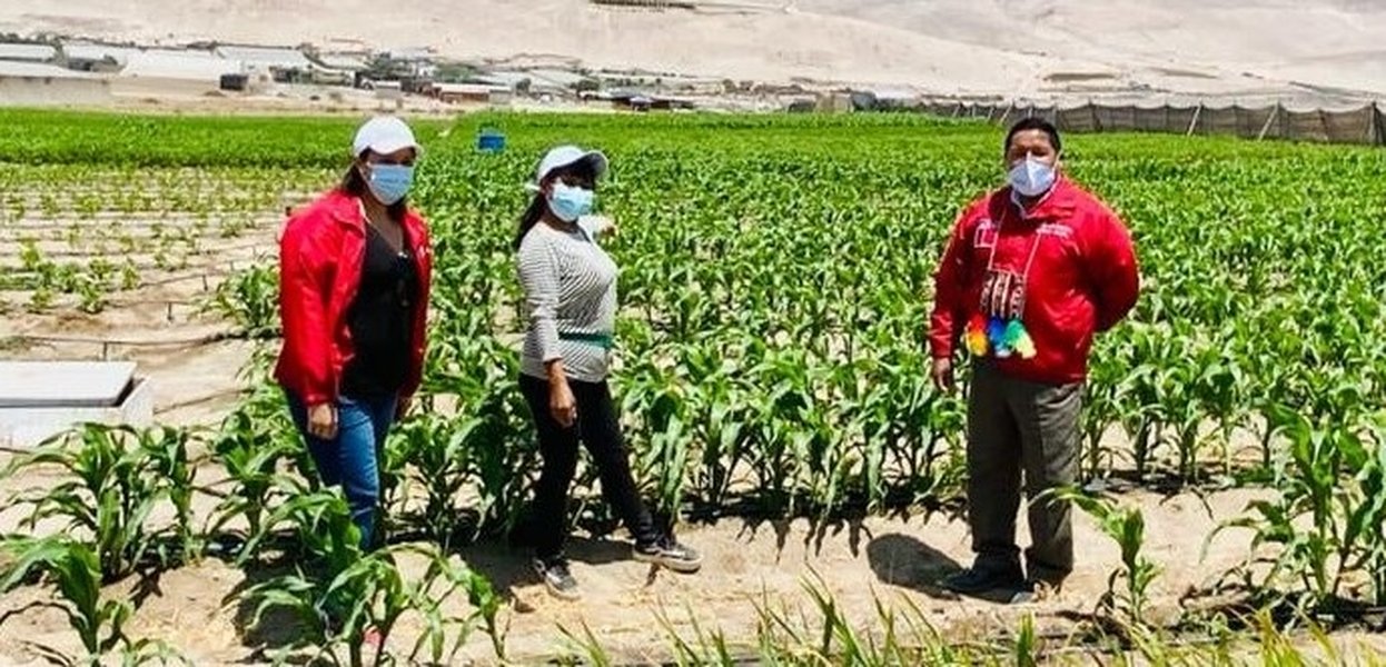 Mejora en la producción agrícola con nuevas obras de riego