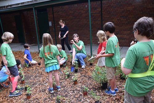 landscape classroom teaching tools