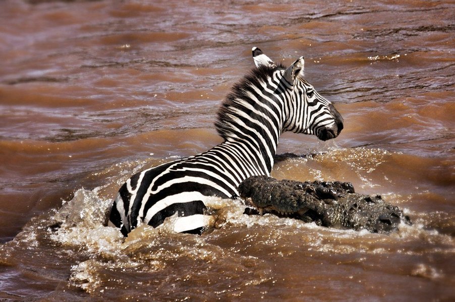 mara-river-overview-9x0cyp19