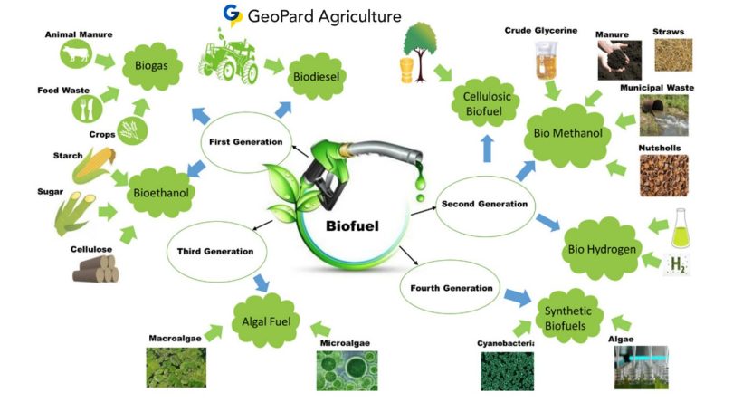 sustainable biofuel production plant