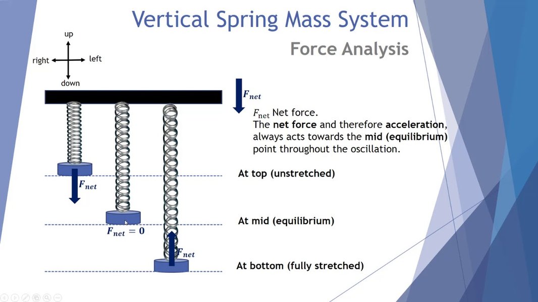 vertical spring mass system