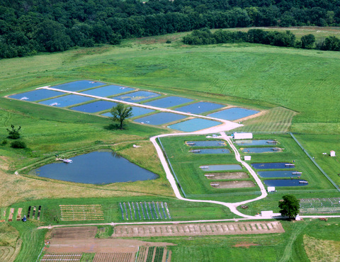 aquaculture facility fish pond