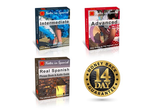 spanish books and notes