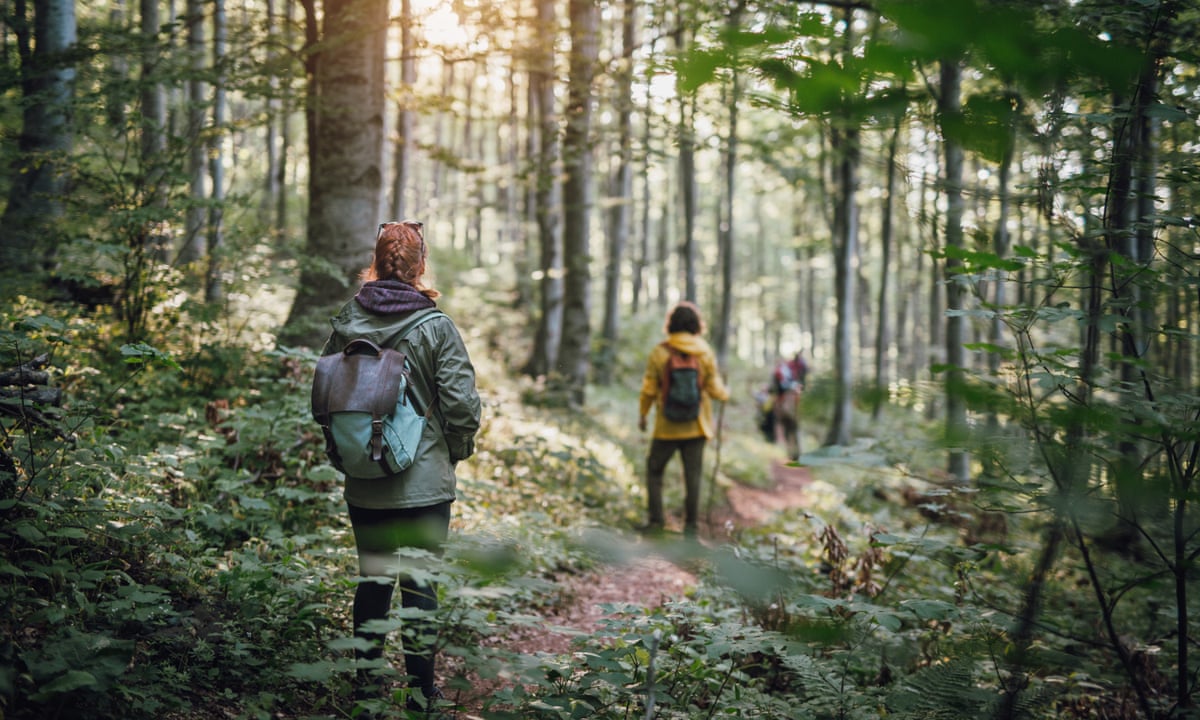 natural scenery health discussion