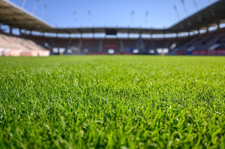 football stadium pitch match