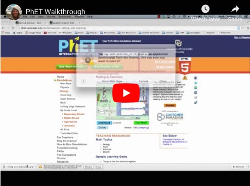 interactive math classroom simulation