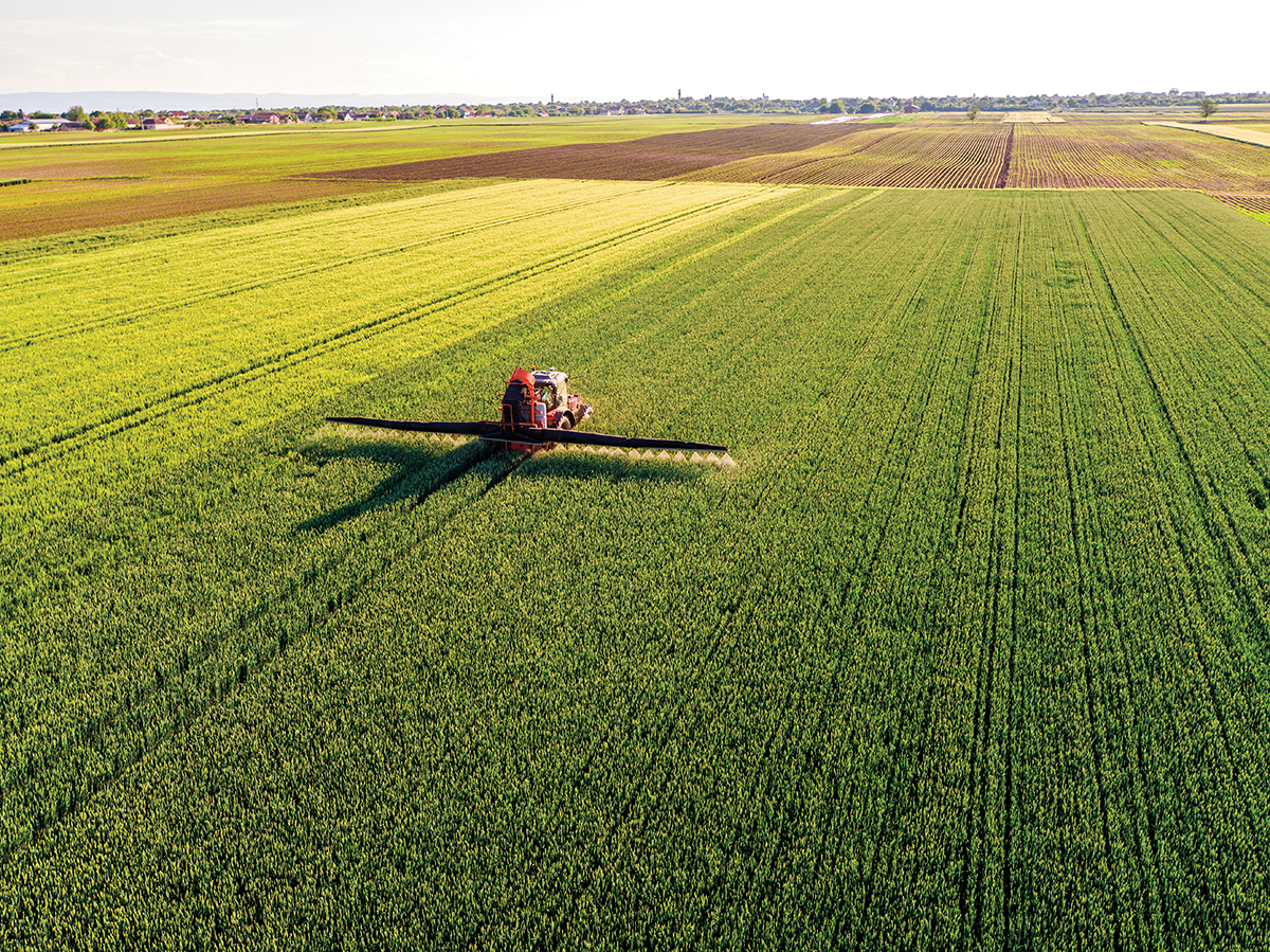 agricultural fields food production