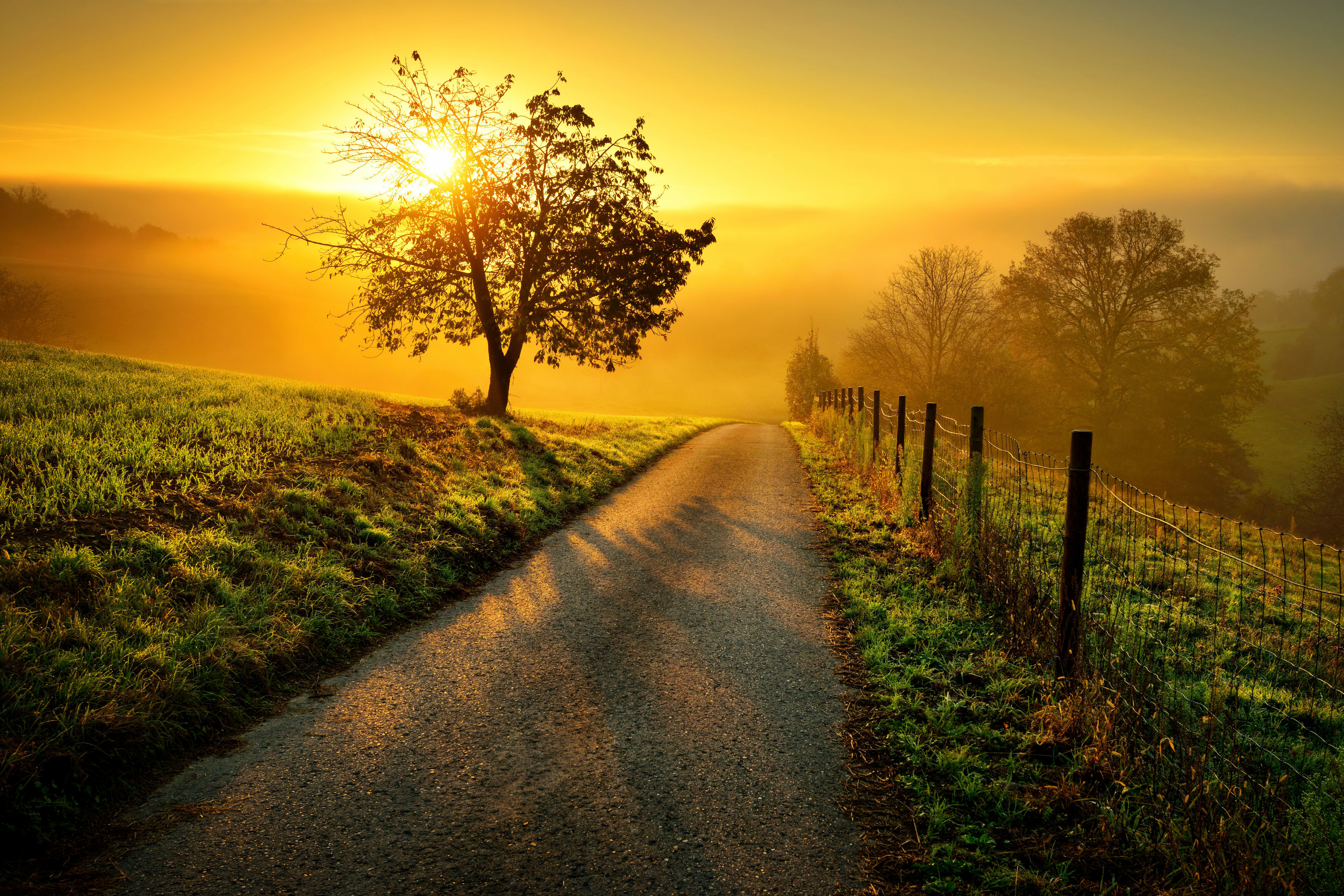 majestic indian landscape sunrise