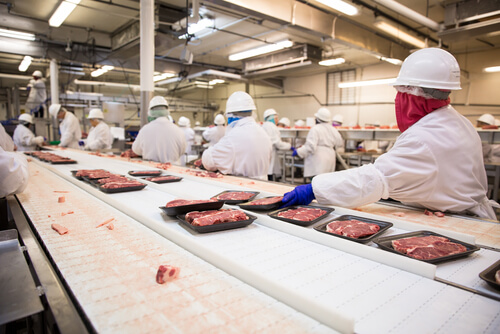 meat vendor processing facility