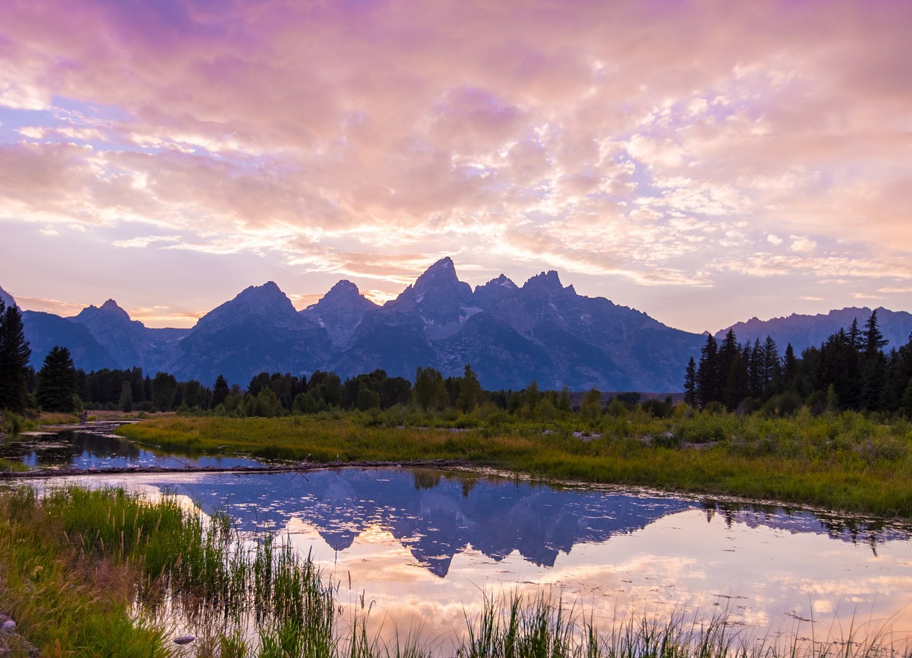 scenic landscape symbolizing connection